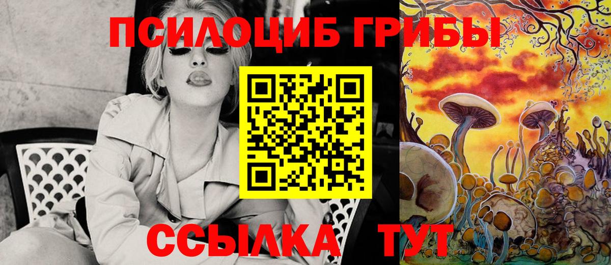 Галлюциногенные грибы Psilocybine cubensis Нальчик